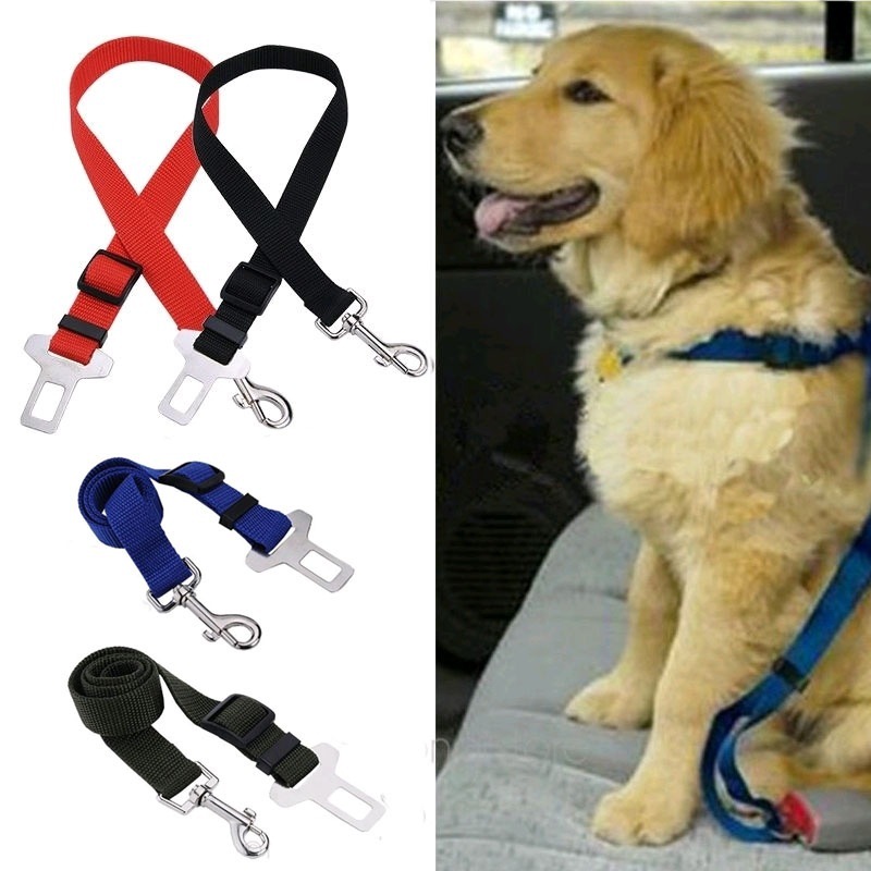 Travel Accessories Dropshipping - 자동차 안전 벨트 애완견 가죽 끈,